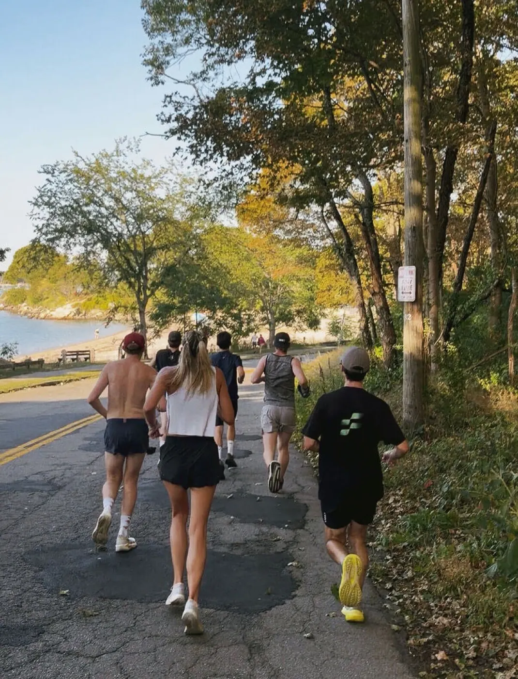 Runners climbing a tree-lined road along the water